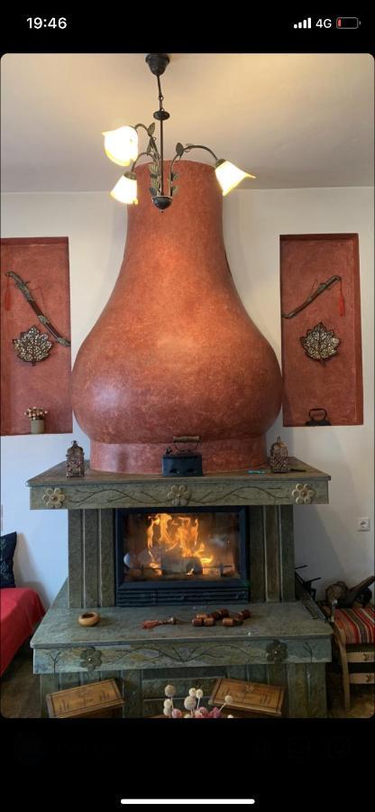 Η Θεα Traditional House Makrinitsa Luaran gambar